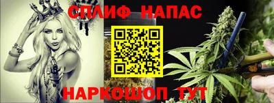 каннабис Будённовск