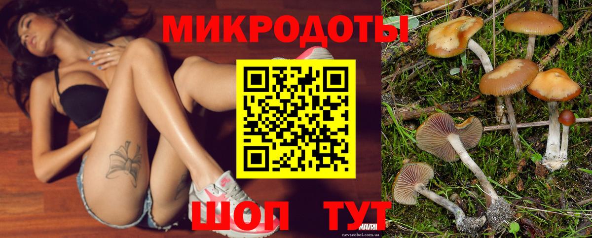 Галлюциногенные грибы мухоморы Можайск