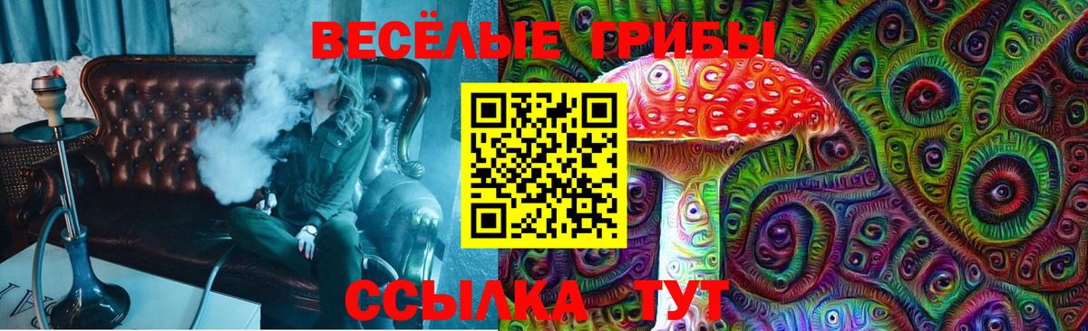 Псилоцибиновые грибы мицелий  Вход с VPN  Можайск 